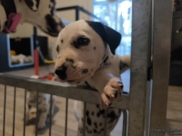 IMG_20250203_082023_web