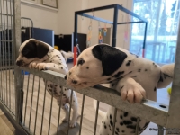 IMG_20250203_082029_web