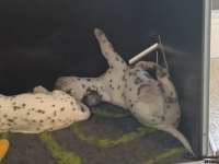 IMG_20250203_134834_web