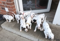 IMG_20250203_154344_web