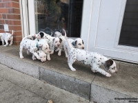 IMG_20250203_154347_web