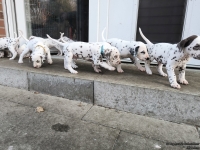 IMG_20250203_154349_web