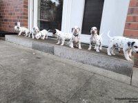 IMG_20250203_154356_web