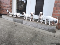 IMG_20250203_154357_web