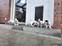 IMG_20250203_154359_web