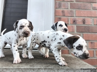 IMG_20250203_154402_web