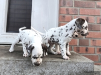 IMG_20250203_154403_web