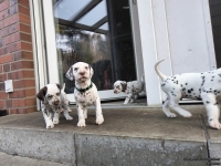 IMG_20250203_154407_web