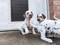 IMG_20250203_154409_web