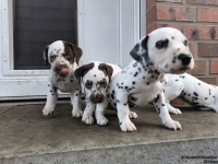 IMG_20250203_154411_web