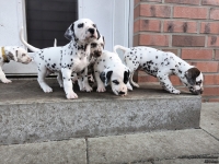 IMG_20250203_154422_web