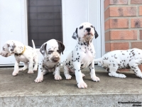 IMG_20250203_154430_web