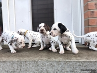 IMG_20250203_154431_web