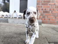 IMG_20250203_154458_web