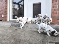 IMG_20250203_154542_web