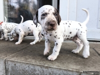 IMG_20250203_154607_web