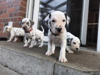 IMG_20250203_154612_web