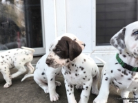 IMG_20250203_154628_web