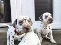 IMG_20250203_154635_web