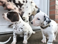 IMG_20250203_154639_web