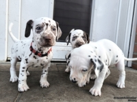 IMG_20250203_154644_web