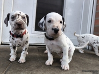 IMG_20250203_154645_web