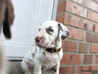 IMG_20250203_154648_web