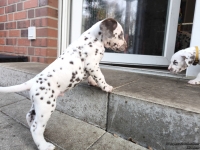 IMG_20250203_154655_web