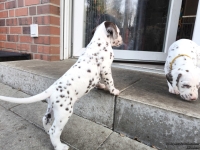 IMG_20250203_154657_web