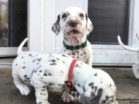 IMG_20250203_154714_web