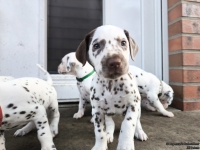 IMG_20250203_154730_web