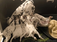 IMG_20250203_225027_web