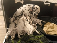 IMG_20250203_225054_web