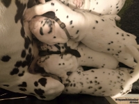 IMG_20250203_225101_web