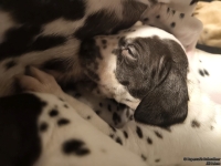 IMG_20250203_225151_web