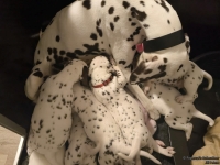 IMG_20250203_225331_web