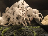 IMG_20250203_225341_web