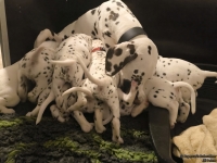 IMG_20250203_225345_web