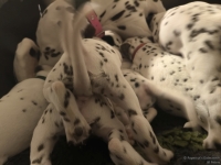 IMG_20250203_225448_web