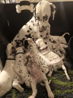 IMG_20250203_225623_web