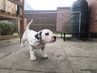 IMG_20250204_091112_web