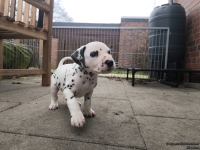 IMG_20250204_091113_web