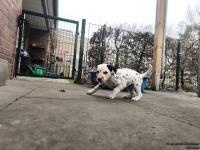 IMG_20250204_091121_1_web