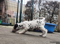 IMG_20250204_091121_web