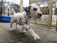 IMG_20250204_091122_1_web