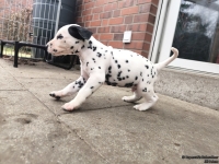 IMG_20250204_091131_web