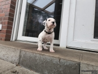 IMG_20250204_091140_web