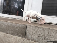 IMG_20250204_091143_web