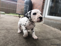 IMG_20250204_091144_1_web