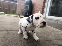 IMG_20250204_091144_web